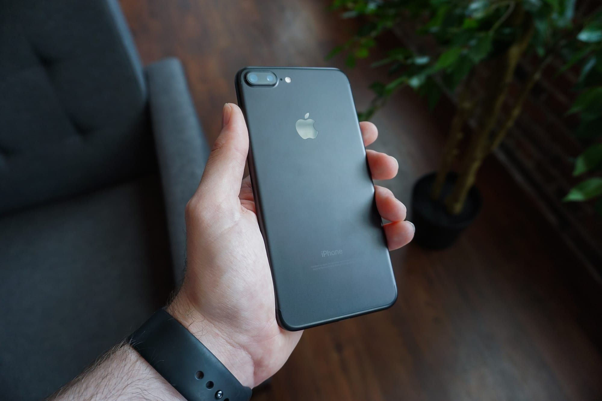 A hand holding the back of an older black iPhone, with a houseplant and a grey sofa blurred in the background